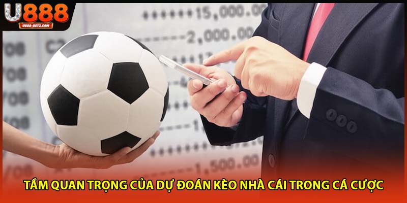 Tầm quan trọng của dự đoán kèo nhà cái trong cá cược